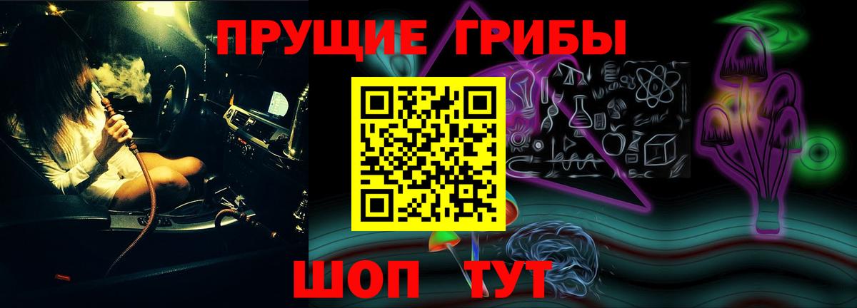 Галлюциногенные грибы GOLDEN TEACHER  Вход с VPN  Новошахтинск 