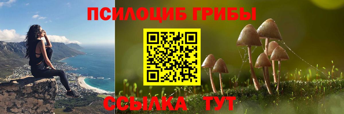 Псилоцибиновые грибы Cubensis Новошахтинск